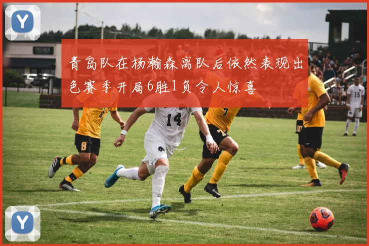 青岛队在杨瀚森离队后依然表现出色赛季开局6胜1负令人惊喜
