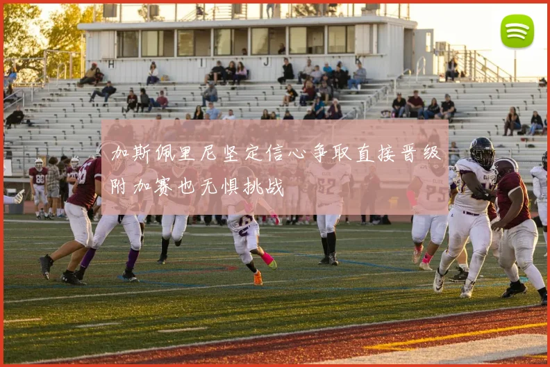 加斯佩里尼坚定信心争取直接晋级附加赛也无惧挑战