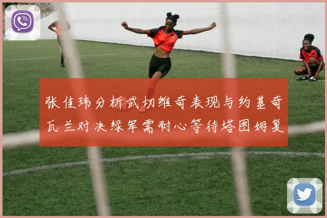 张佳玮分析武切维奇表现与约基奇瓦兰对决绿军需耐心等待塔图姆复出