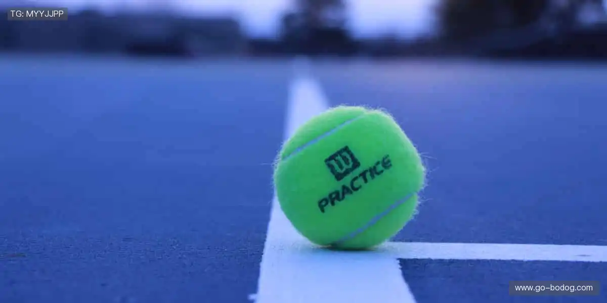 运动装备一站式,品质与颜值并存!🛒🔥